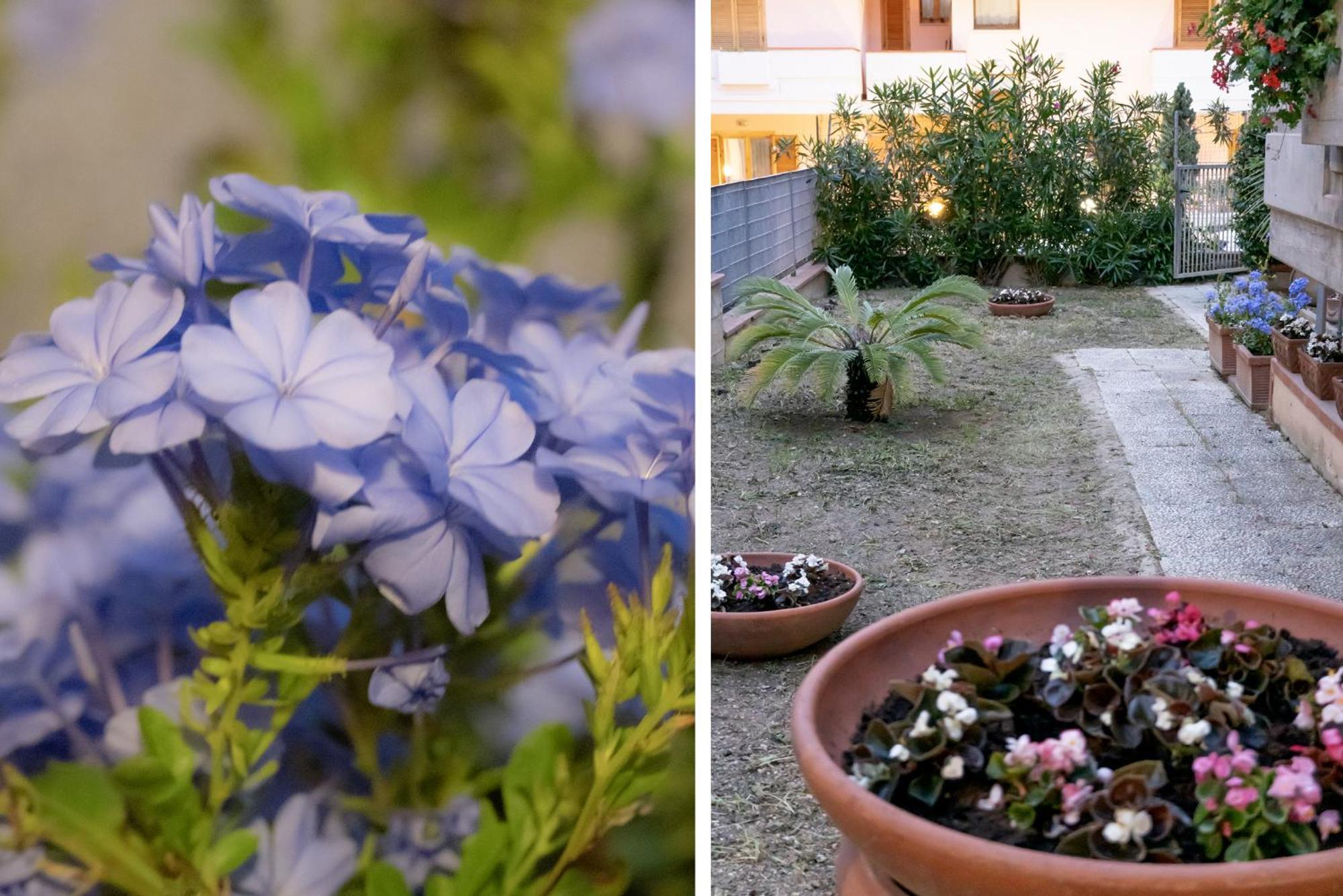 Apartament Il Giardino Civitanova Marche Zewnętrze zdjęcie